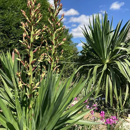 Normand De 1930 * Manneville-sur-Risle