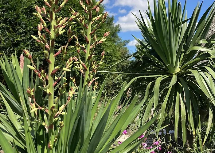 Normand De 1930 * Manneville-sur-Risle